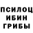 Галлюциногенные грибы Psilocybine cubensis Jason Rainford