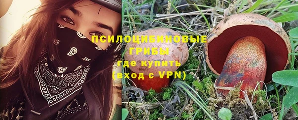 шишки Покров