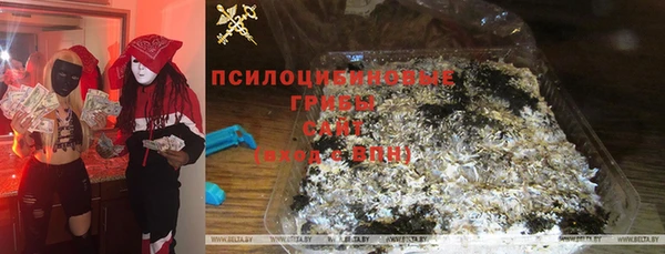 а пвп мука Абаза
