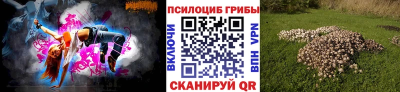 даркнет какой сайт  Чкаловск  Псилоцибиновые грибы мицелий 
