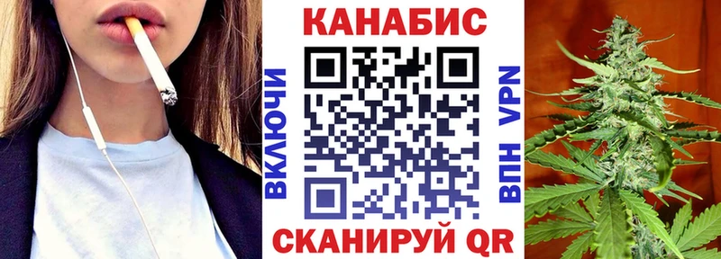Каннабис планчик  Чкаловск 